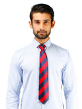 Peluche Trig Microfiber Necktie for Men