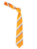 Peluche Snappy Striped Orange Neck Tie For Men