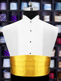 Peluche Golden Rendezvous Cummerbund For Men