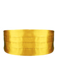 Peluche Golden Rendezvous Cummerbund For Men
