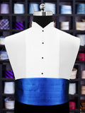 Peluche Bold Blue Cummerbund For Men