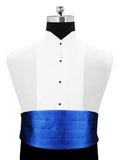 Peluche Bold Blue Cummerbund For Men