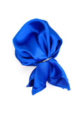 Neck Tie and Pocket Square Set for Men