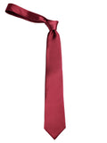 Neck Tie and Pocket Square Set for Men