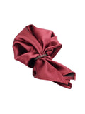 Neck Tie and Pocket Square Set for Men