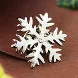 Brooch for Men