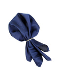 Neck Tie and Pocket Square Set for Men