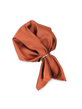 Neck Tie and Pocket Square Set for Men