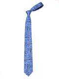 Peluche Tantalizing Microfiber Necktie for Men