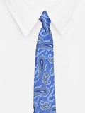Peluche Tantalizing Microfiber Necktie for Men