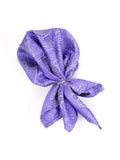Neck Tie and Pocket Square Set for Men