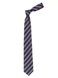 Neck Tie and Pocket Square Set for Men
