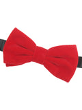Bowtie for Men