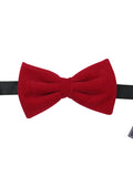 Bowtie for Men