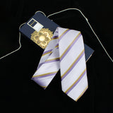 Peluche Alluring Microfiber Necktie for Men