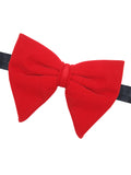Bowtie for Men