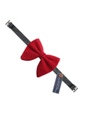 Bowtie for Men