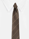 Peluche Remarkable Microfiber Necktie for Men