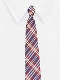 Neck Tie and Pocket Square Set for Men