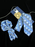 Neck Tie and Pocket Square Set for Men