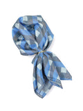 Neck Tie and Pocket Square Set for Men