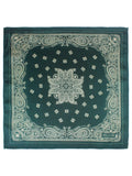 Peluche Paisley Luxe Green Pocket Square For Men