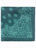 Peluche Imperial Paisley Dark Green Pocket Square For Men