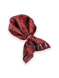 Neck Tie and Pocket Square Set for Men