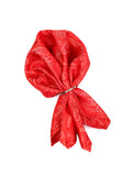 Neck Tie and Pocket Square Set for Men