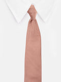 Peluche Graceful Stripes Microfiber Necktie For Men