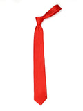 Neck Tie and Pocket Square Set for Men