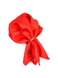 Neck Tie and Pocket Square Set for Men