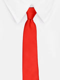 Neck Tie and Pocket Square Set for Men