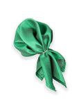 Neck Tie and Pocket Square Set for Men