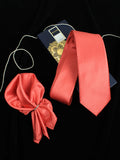 Neck Tie and Pocket Square Set for Men