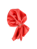 Neck Tie and Pocket Square Set for Men