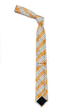 Neck Tie and Pocket Square Set for Men