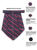 Cravat and Pocket Square Set for Men