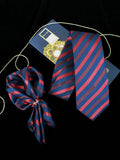 Neck Tie and Pocket Square Set for Men