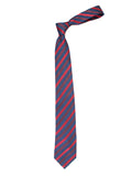Neck Tie and Pocket Square Set for Men