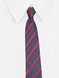 Neck Tie and Pocket Square Set for Men