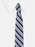 Peluche Blue Vault Microfiber Necktie For Men