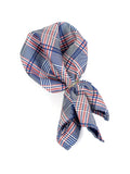 Neck Tie and Pocket Square Set for Men