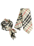 Neck Tie and Pocket Square Set for Men