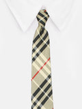 Neck Tie and Pocket Square Set for Men