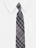 Peluche Mix N Match Microfiber Necktie For Men