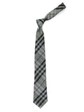 Neck Tie and Pocket Square Set for Men