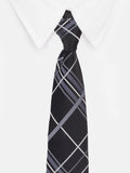 Peluche Refined Check Microfiber Necktie For Men