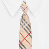 Necktie for Men