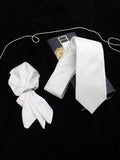 Neck Tie and Pocket Square Set for Men